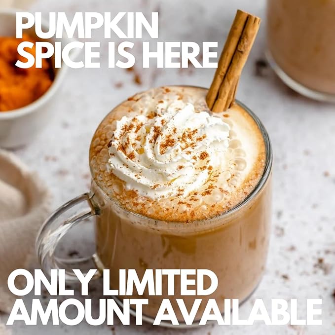 Sarasota Coffee Ground Packets | Gourmet Flavored Medium Roast Grounds Packs | Pumpkin Spice Latte | Low Acid Mold Free Bulk Individual Single Pot Pouches for 12 Cup Coffee Maker | 2 oz Bags, 12 Count